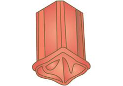 картинка Начальная хребтовая 44XL Старая Бургундия, vieilli Bourgogne Terreal